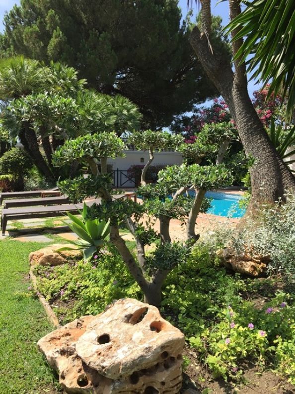 Jardin Mediterraneo en Marbella (Málaga)