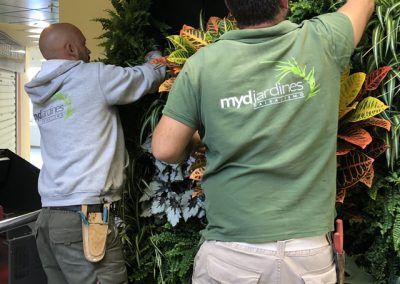 MyD jardines jardín vertical puerto marina Benalmádena