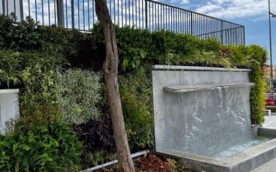 El auge de los jardines verticales: una revolución verde en las ciudades