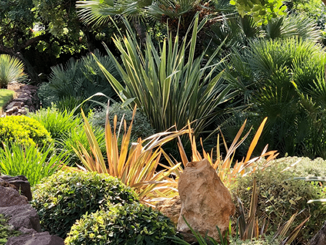 Presupuestos para proyecto de jardinería y paisajismo