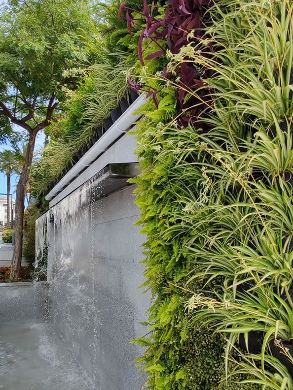 Jardín vertical en San Pedro