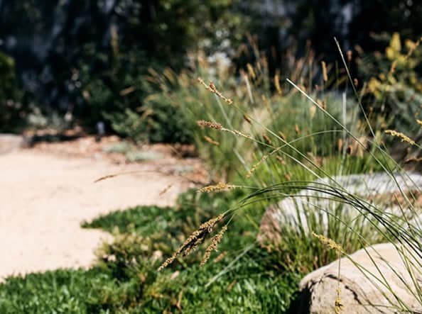 Servicios de jardinería Málaga y Marbella